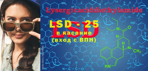 ECSTASY Липки