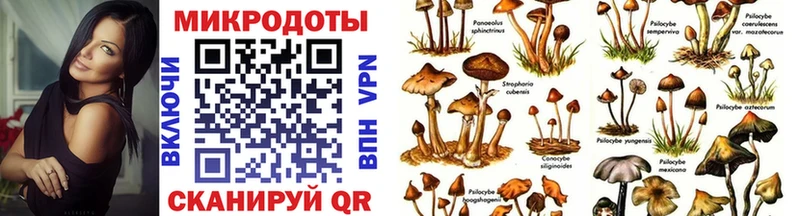 Галлюциногенные грибы GOLDEN TEACHER Новая Усмань