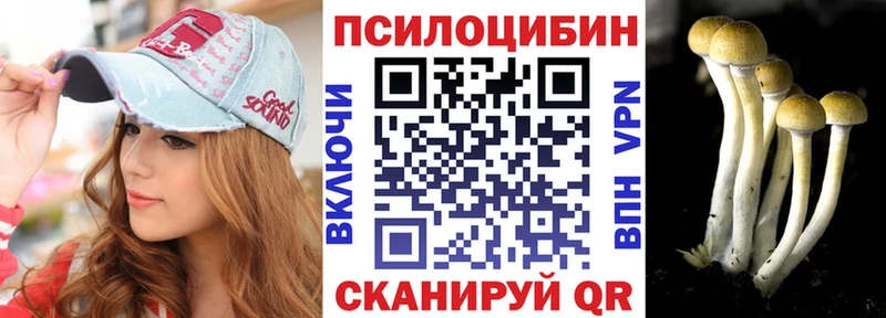 Псилоцибиновые грибы мицелий  даркнет сайт  гидра онион  Новая Усмань 